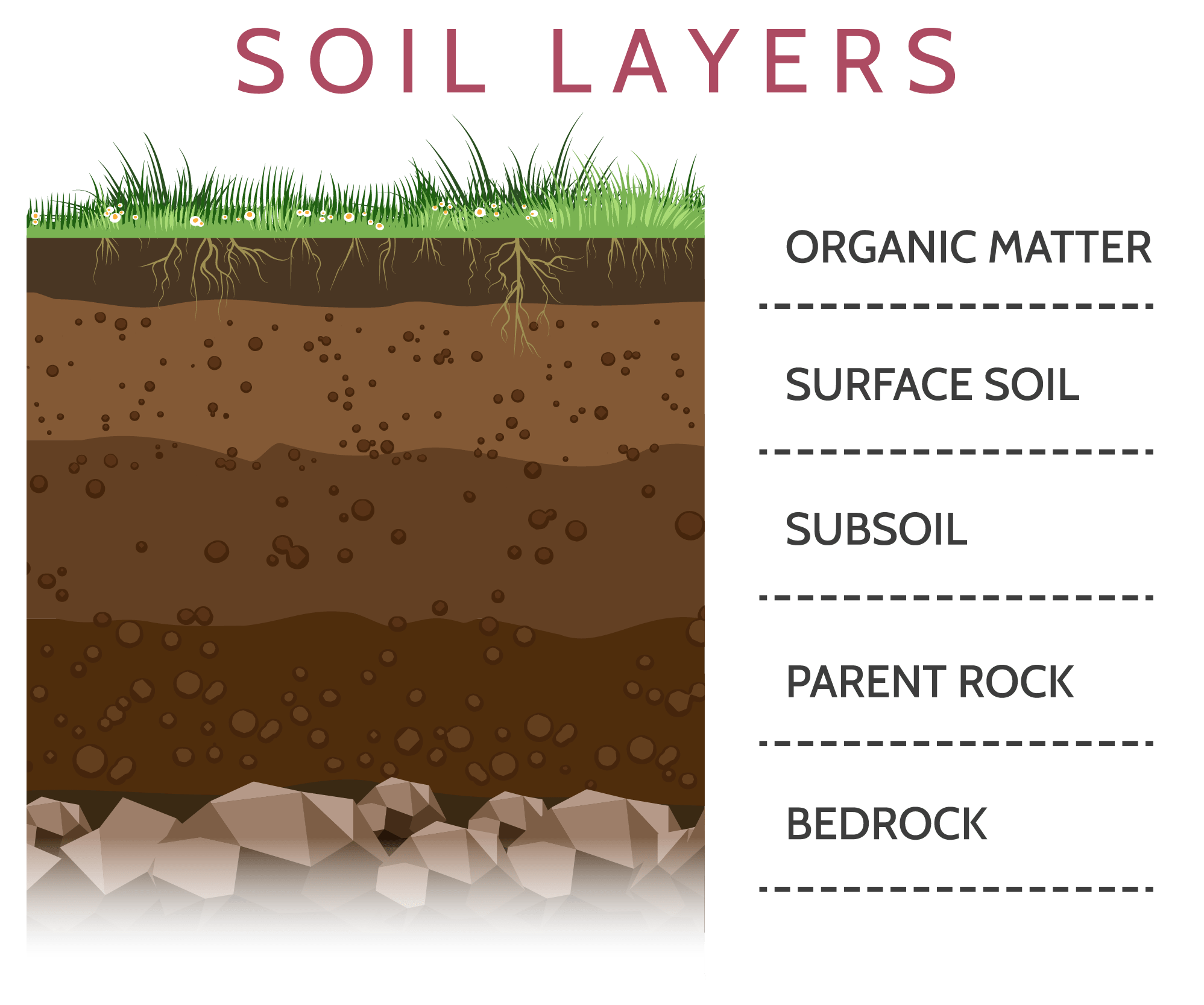 Label Soil Profile Diagram