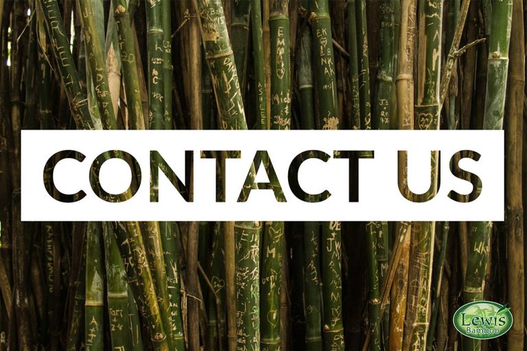 contact-us-lewis-bamboo