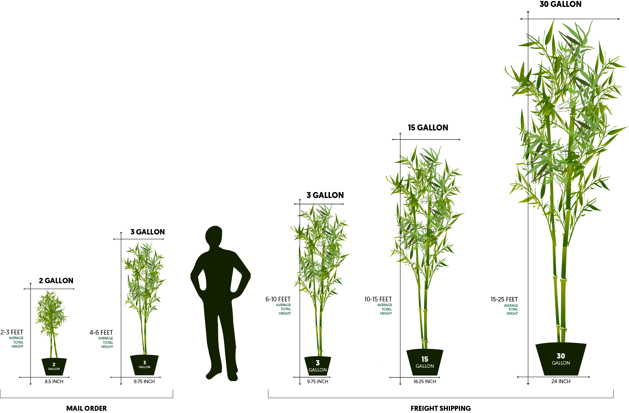 plant-pot-sizes-chart-plant-ideas